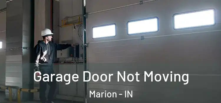  Garage Door Not Moving Marion - IN