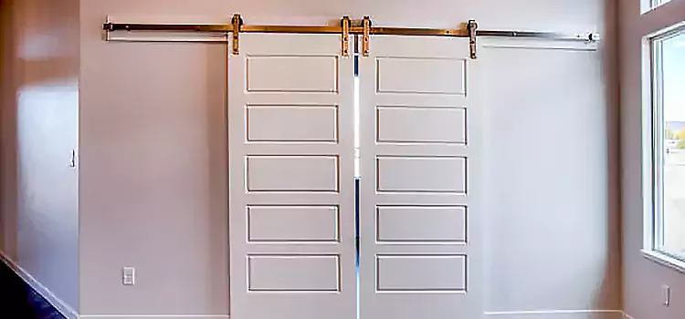 Glass Barn Door with Installation Hardware Kit Marion